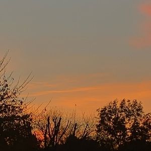 Meet your Posher, Jaz